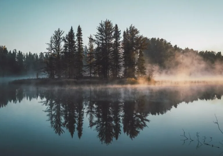 Evening Reflections