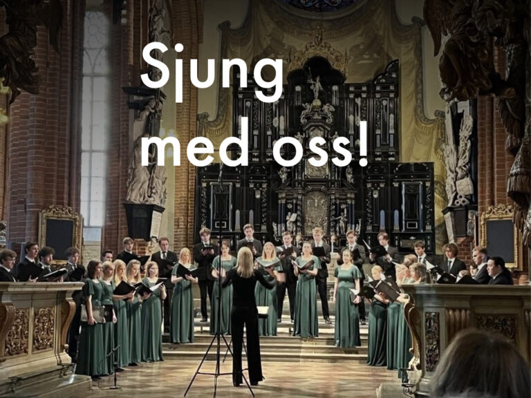 Storkyrkans Kammarkör söker sångare